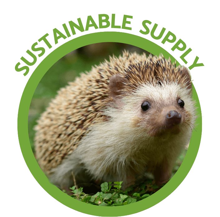 Hedgehog — Bugs4Feed™ exotic pet nutrition
