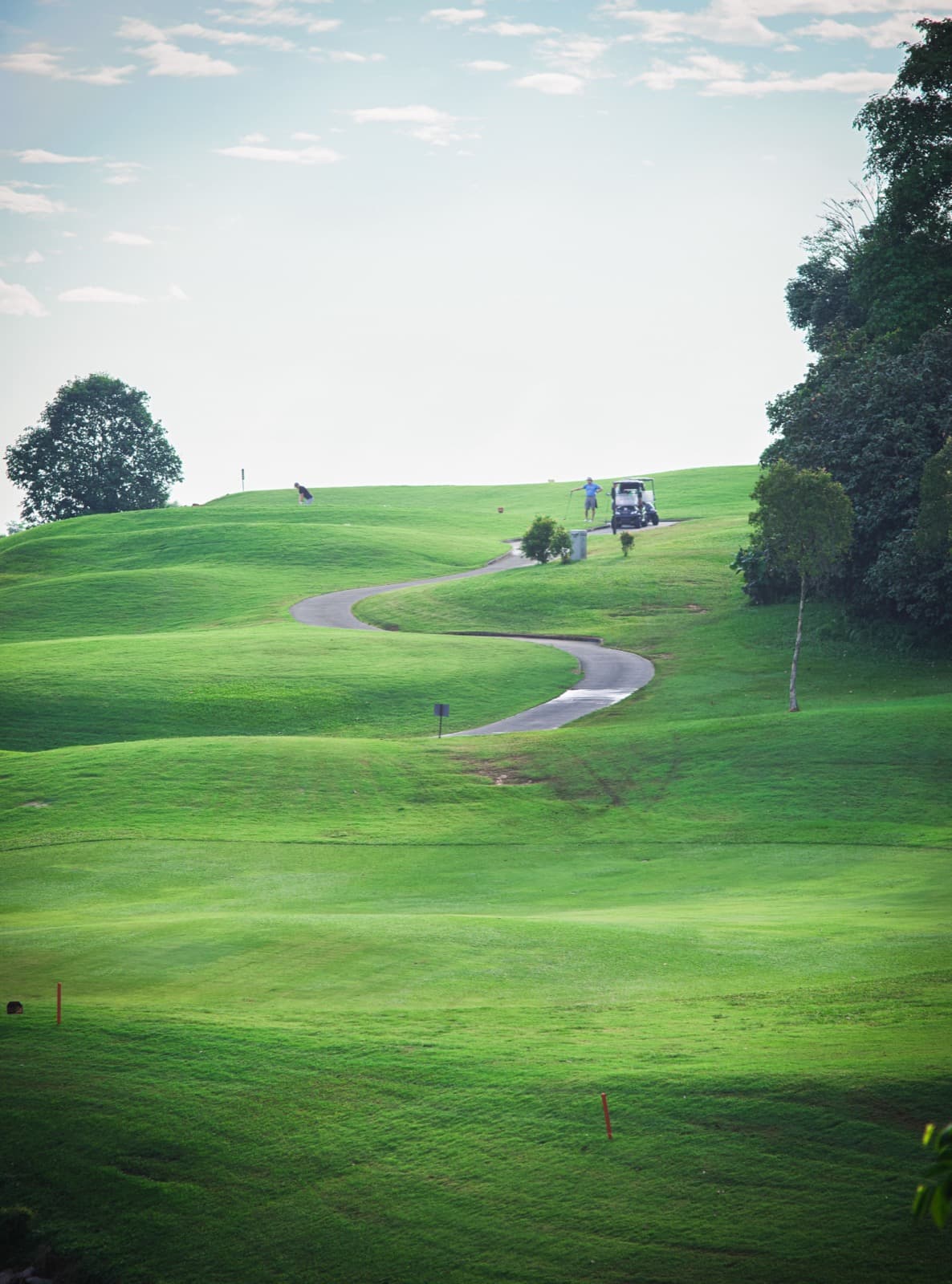 Healthy golf course turf supported by biological soil amendments