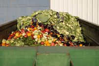 Organic waste validation — fresh produce byproducts ready for bioconversion